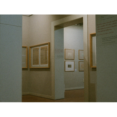 La Difusión en Archivos en el siglo XXI